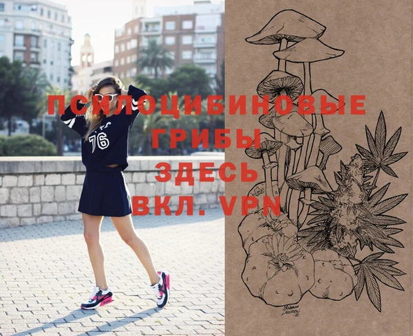 дурь Волосово