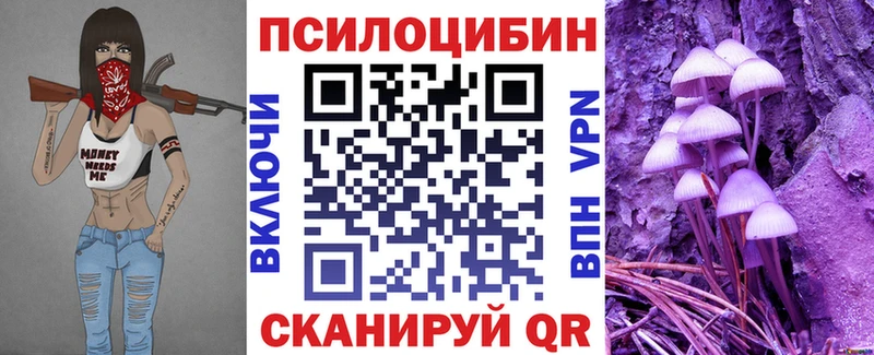купить цена Георгиевск Псилоцибиновые грибы мицелий