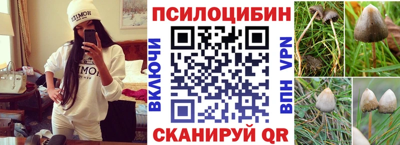 Галлюциногенные грибы прущие грибы Георгиевск