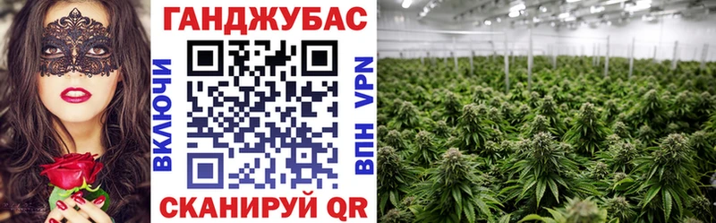 OMG как зайти  Георгиевск  Бошки марихуана гибрид  где найти наркотики 